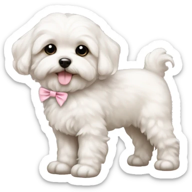 schichon puppy with pale pink bow sticker