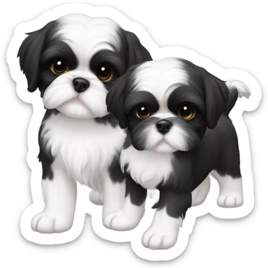 Two Shitz Tzu brothers more black with white Puppies sticker