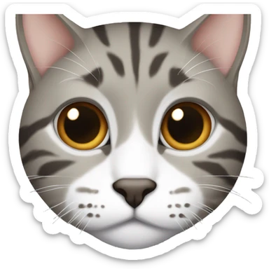 Gray, brown, and white medium hair tabby cat with half of the nose white sticker