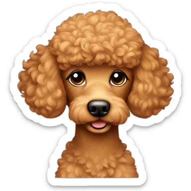 Light brown poodle with a backpad sticker