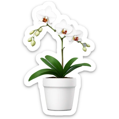 Minimal white single orchid in pot sticker