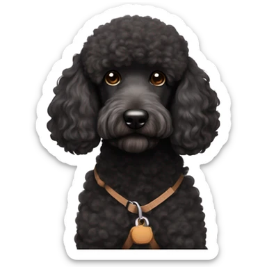 3 legs One Small unshaved Black Poodle with brown harness is  sleeping sticker