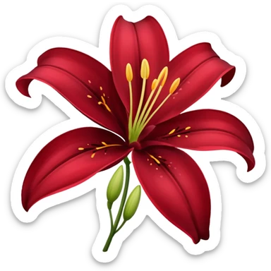 A lily flower in a dark cherry red colour sticker