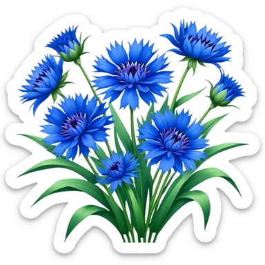 luxuriant, big bouquet Cornflower, stem, leaf sticker