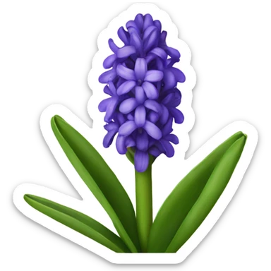 Hyacinth flower sticker