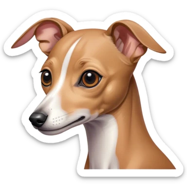 Italian greyhound  sticker
