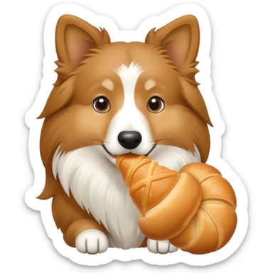 Light Shetland sheepdog eating croissant sticker