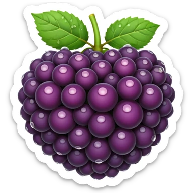 Blackberry sticker