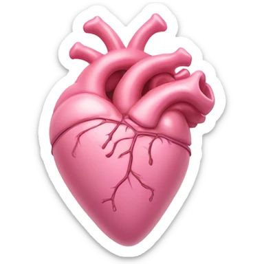 Pink anatomical heart pastel pink with bow sticker