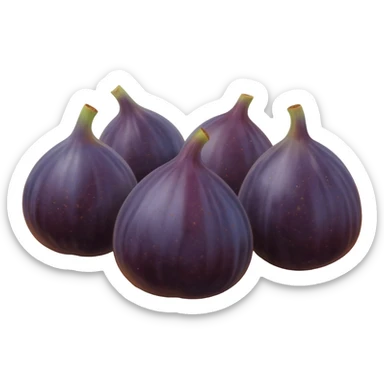 Figs sticker