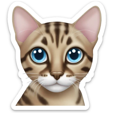 Mink bengal cat with light Blue eyes sticker