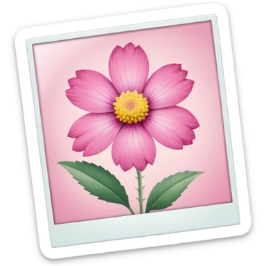 pink polaroid photo sticker