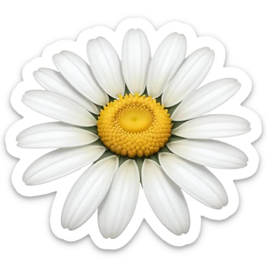 One white daisy flower sticker