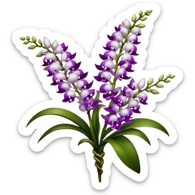 big bouquet white purple Rhynchostylis Orchid, stem, leaf, luxuriant sticker