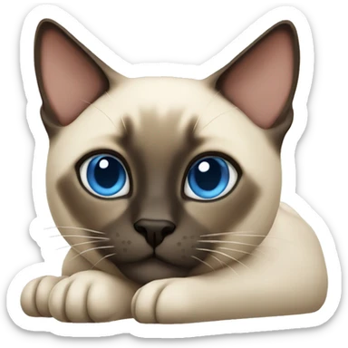 siamese cat laying down sticker