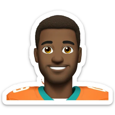 NFL Miami dolphins  sticker