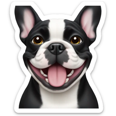 Black french bulldog smiling  sticker