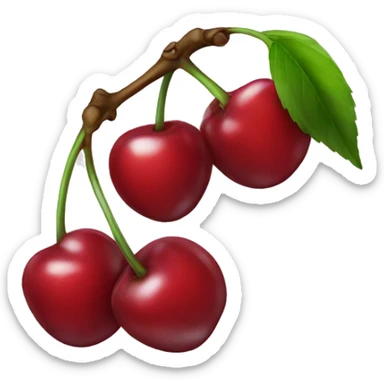 Cherry  sticker