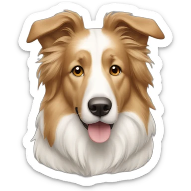 White and light brown Collie sticker