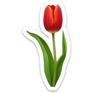 red tulip sticker