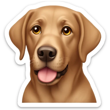 Brown Labrador  sticker