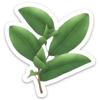 branch of eucalyptus leaves sticker
