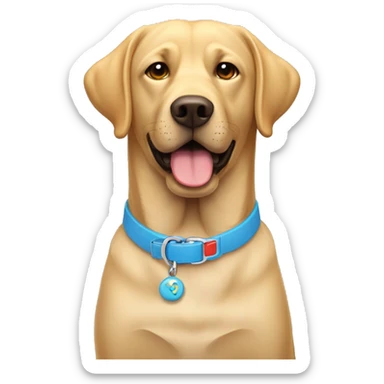Labrador con un collar con la C y un lazo sticker