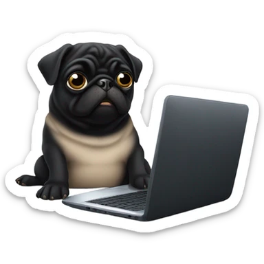 Black pug using a laptop sticker