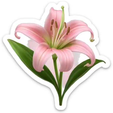 light pink lilium sticker