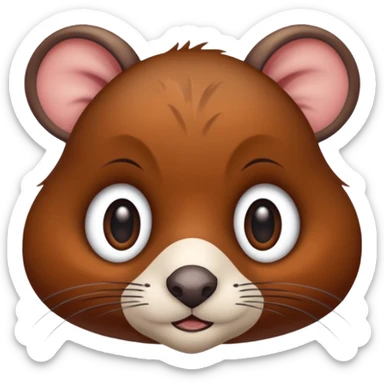 Il s'agit d'un raton laveur aventurier-voleur, L'emote est son visage surpris sticker