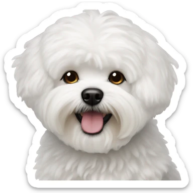 Bichon maltaise sticker