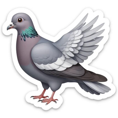 a pigeon bird, gray dove sticker