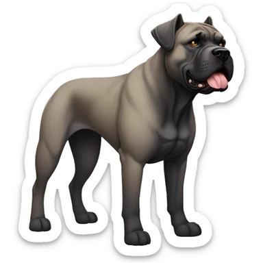 Cane Corso dog sticker