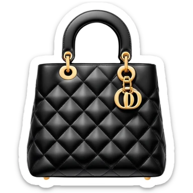 Dior bag  sticker