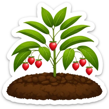 fruit plant garden bed sticker