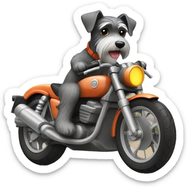 Schnauzer conduciendo una moto sticker