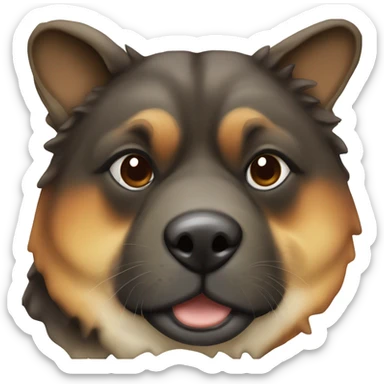 Tortoise shell no white Akita with no white sticker