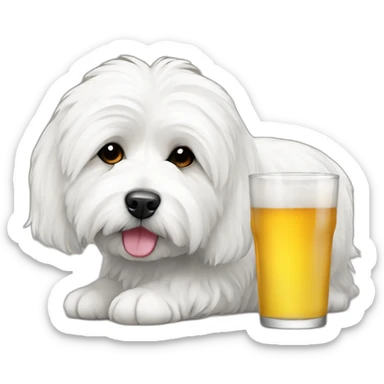 coton de tulear drinking sticker