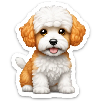 Dog maltipoo white-orange  sticker