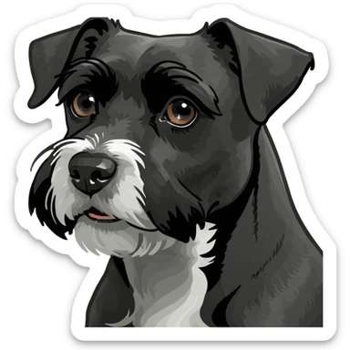 Schnauzzer black sticker