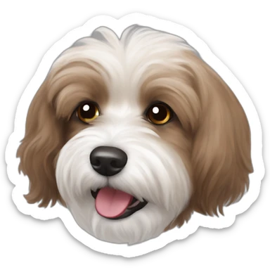 brown coloured dog bichon havanese crazy playful with the ball sticker