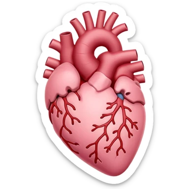 Anatomical heart, soft pink color from reference, light, iOS emoji style sticker
