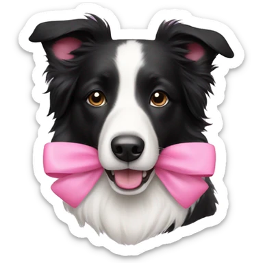 border collie with pink bow sticker