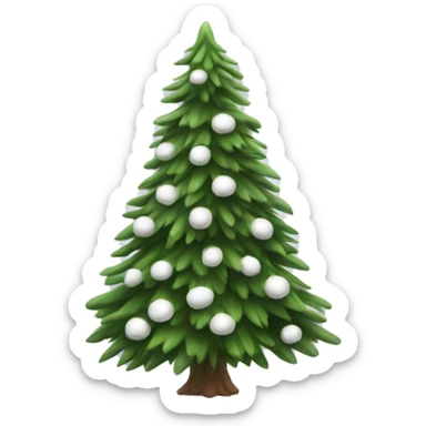  actual white fir christmas tree isolated.  sticker