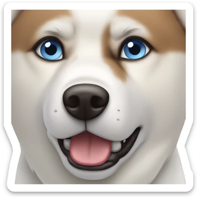 White Akita dog blue eye and brown eye sticker
