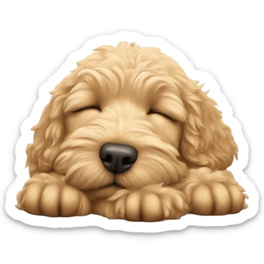 Golden doodle sleeping  sticker