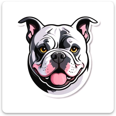 American bully white with grey patch over left eye  sticker