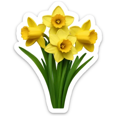 Daffodil bouquet ￼ sticker