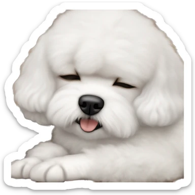 White dog Bichon Frise sleeping on brunette white girl's lap sticker