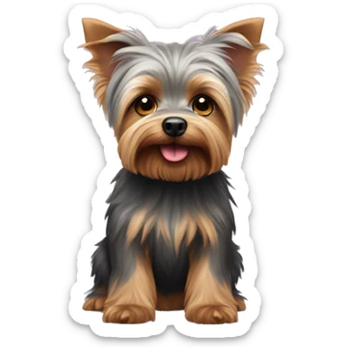 Yorkshire Terrier with Koala sticker